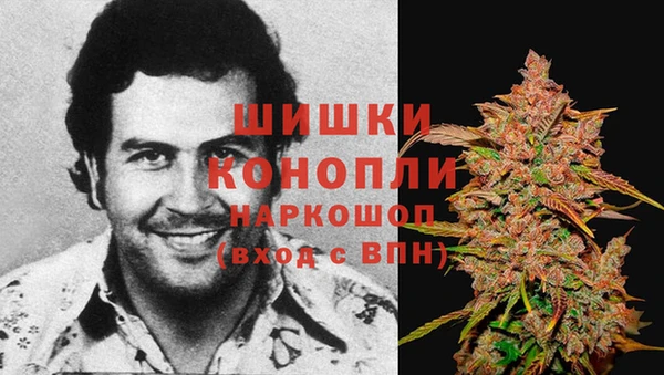 амф Дмитровск