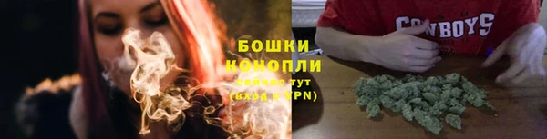 дживик Гусь-Хрустальный