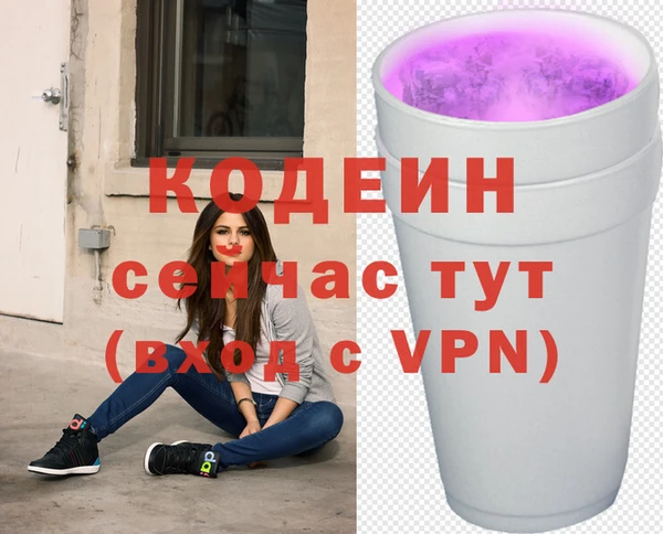дживик Гусь-Хрустальный