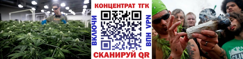 ТГК Wax  Купить где  Новомичуринск 