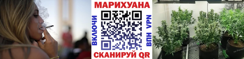 Канабис ГИДРОПОН  Купить где  Новомичуринск 